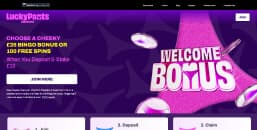 luckypantsbingo_screenshot